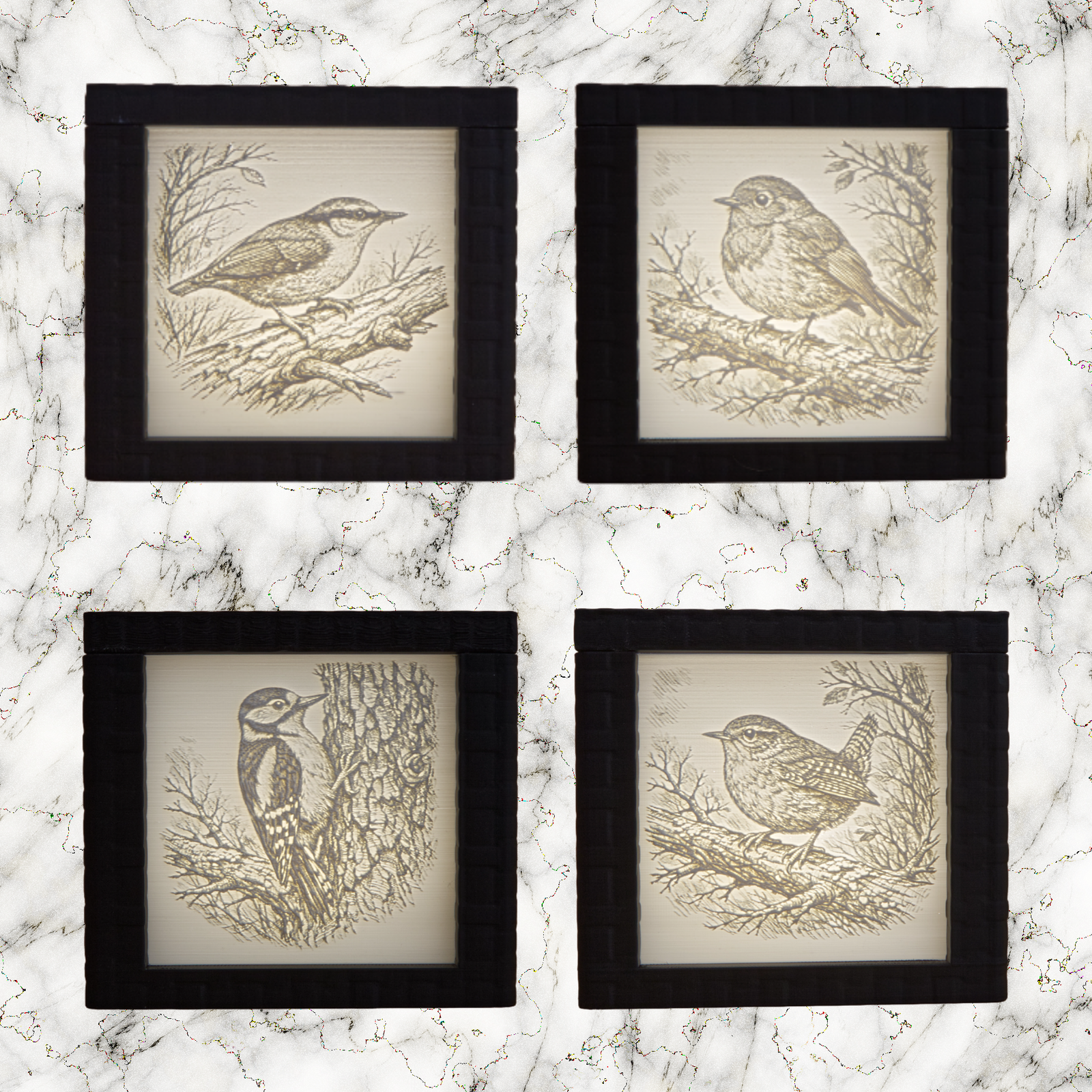 Four framed illustrations of birds on a marble surface