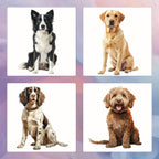 Four dog coasters of different breeds on a colorful background